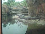 DSCN3894