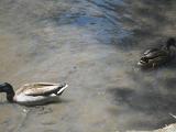 DSCN4002