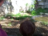 IMG 20120331 095332
