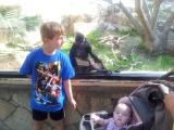 IMG 20120331 100733