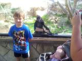 IMG 20120331 100736
