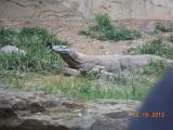 DSCN0436