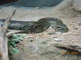 DSCN0451