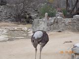 DSCN0456