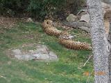 DSCN0461