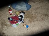 DSCN0393