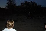 PictureA 0206