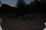 PictureA 0208