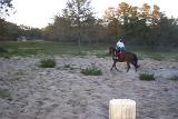 PictureA 0213