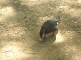 dscn1157