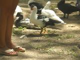 dscn1160