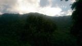 IMAG0610