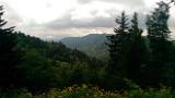 IMAG0647