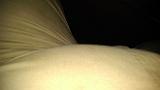 IMAG0694
