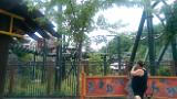 IMAG0701