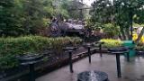 IMAG0726
