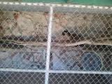 IMG 20111001 132453