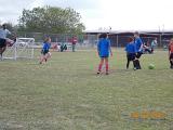 DSCN0504
