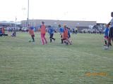 DSCN0506