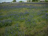 dscn0265