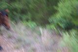 Picture 0359