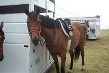 Picture 0365