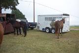 Picture 0366