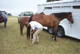 Picture 0367