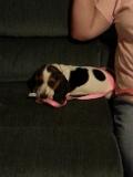20140906 143710