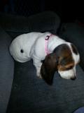 20140906 151900