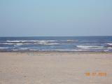 DSCN0861