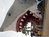 DSCN1034