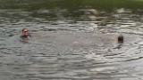 VIDEO0083