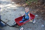 Picture 0249