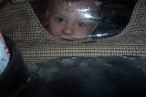 Picture 0294