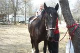 Picture 0308