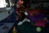 Picture 0322