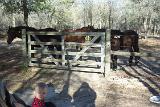 Picture 0362