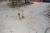 Picture 0436