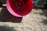 Picture 0528