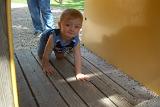 Picture 0533