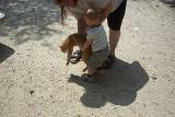 Picture 0538