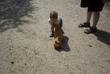 Picture 0539