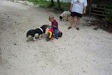 Picture 0889