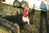 Picture 0903