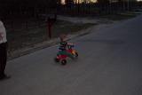 Picture 1218