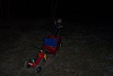 Picture 1223