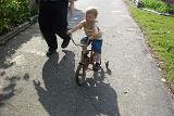 Picture 1377