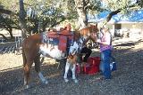 Picture 0691