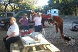 Picture 0694